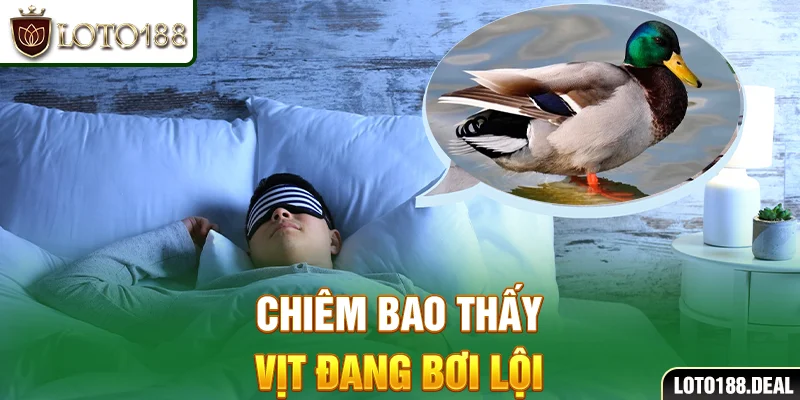 Mơ thấy vịt: Điềm báo cụ thể và các con số may mắn năm 2025 Chiêm bao thấy vịt đang bơi lội