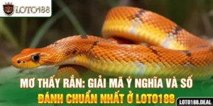 Mơ Thấy Rắn