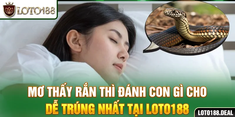 Mơ Thấy Rắn: Giải Mã Ý Nghĩa Và Số Đánh Ở Loto188 Mơ thấy rắn thì đánh con gì cho dễ trúng nhất tại Loto188