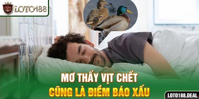 Mơ thấy vịt: Điềm báo cụ thể và các con số may mắn năm 2025 Mơ thấy vịt chết cũng là điềm báo xấu