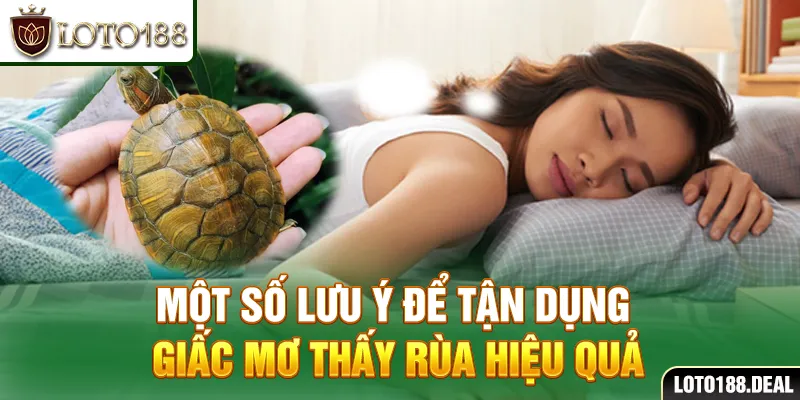 Một số lưu ý để tận dụng giấc mơ thấy rùa hiệu quả