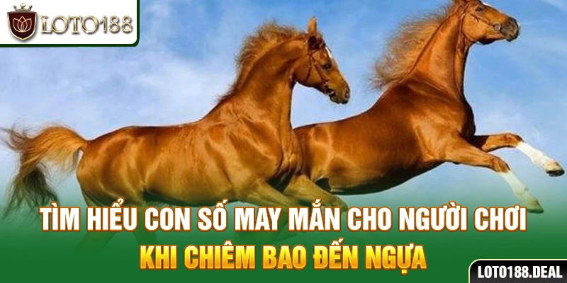Tìm hiểu con số may mắn cho người chơi khi chiêm bao đến ngựa