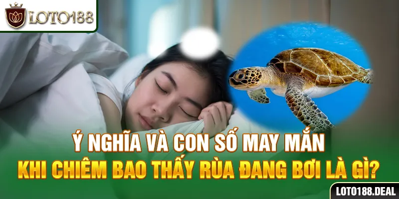Ý nghĩa và con số may mắn khi chiêm bao thấy rùa đang bơi là gì?