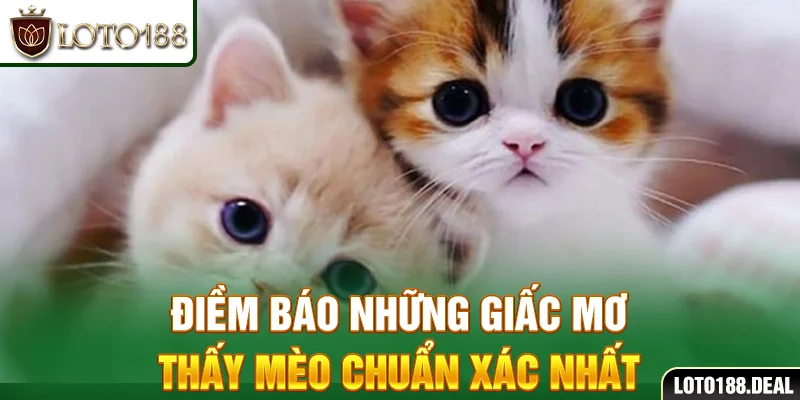 Điềm báo những giấc mơ thấy mèo chuẩn xác nhất
