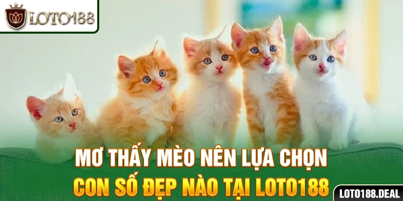 Mơ thấy mèo nên lựa chọn con số đẹp nào tại Loto188